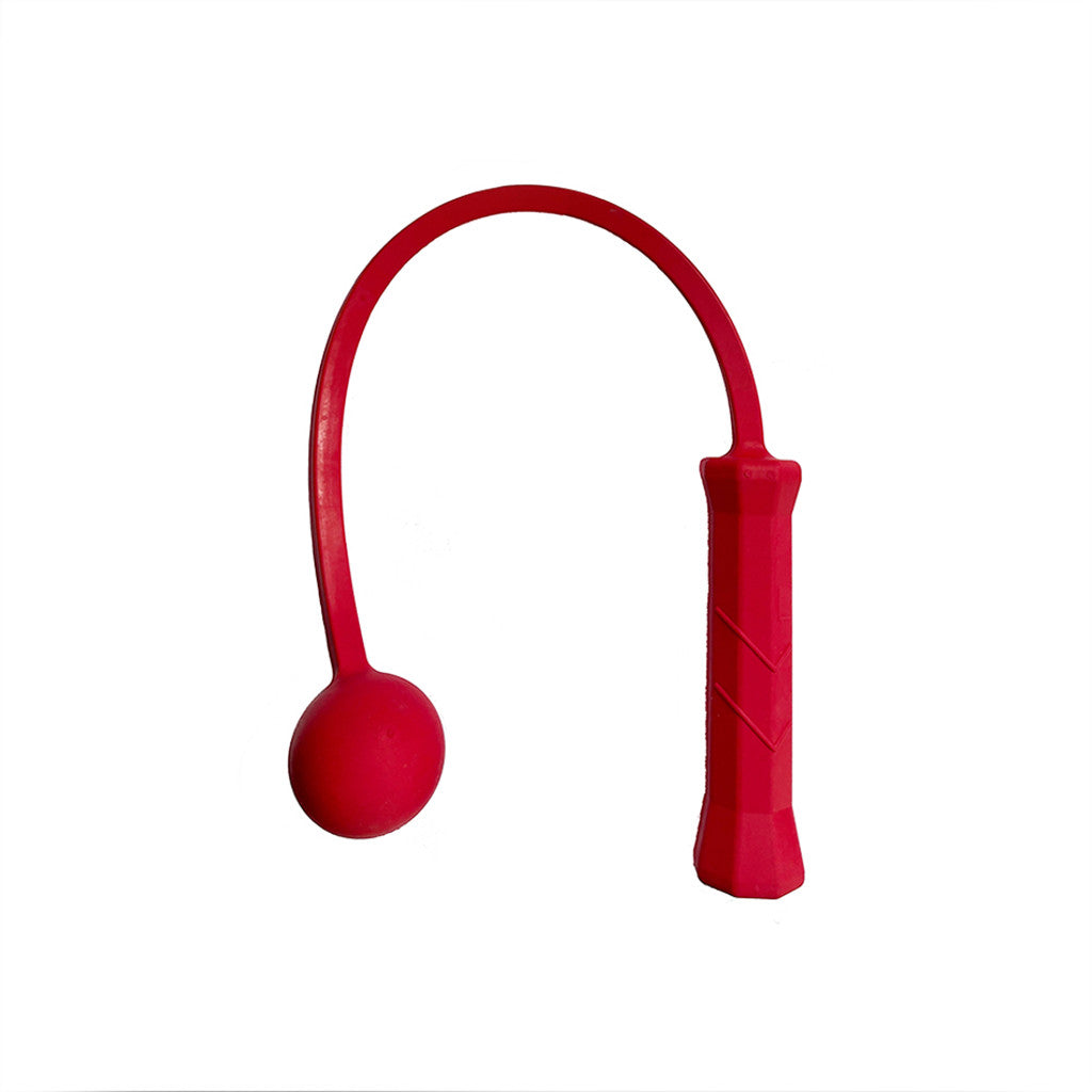 The Total Serve ServeMaster 1 Ball (10 & Under) - RacquetGuys.ca