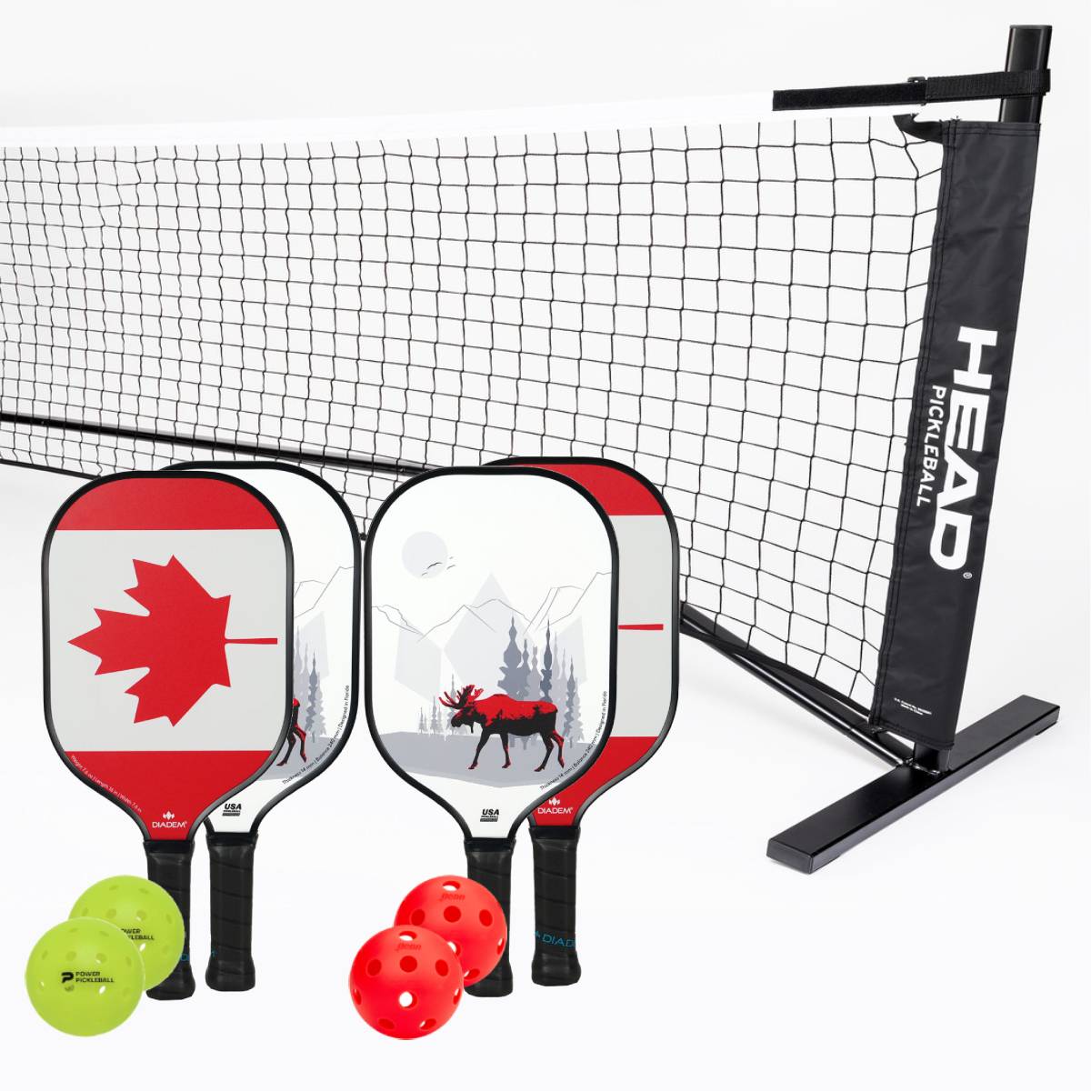 Diadem Riptide Canada 4 Paddle + Net Pickleball Bundle - RacquetGuys.ca