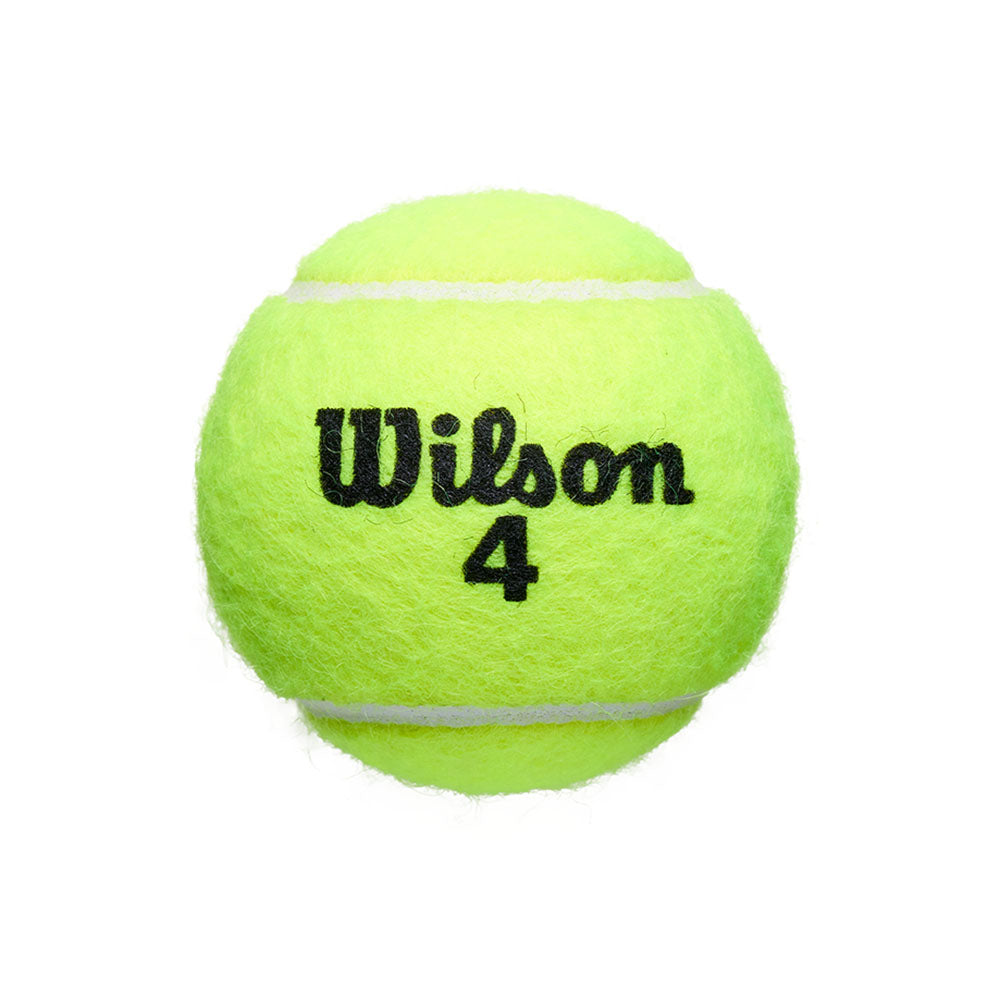 Wilson Roland Garros Green Clay / Har Tru Court Tennis Balls - RacquetGuys.ca