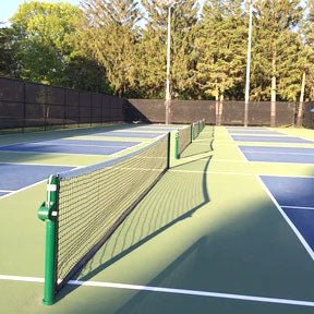 Why is Pickleball Gaining So Much Popularity? - RacquetGuys.ca