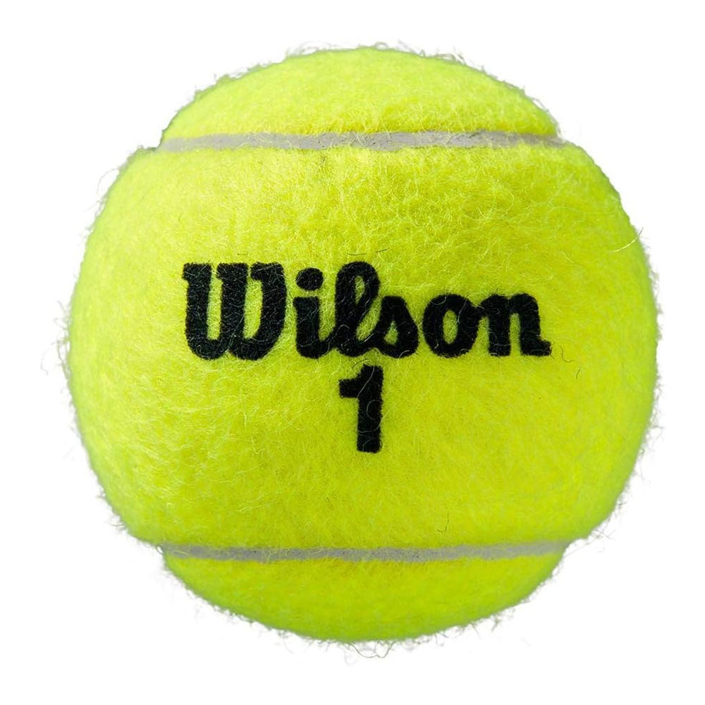 Wilson Roland Garros Clay Court Tennis Balls - 24 Can Case - RacquetGuys.ca