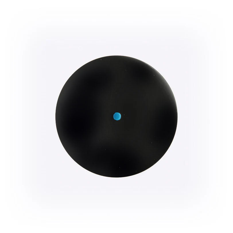 Dunlop Intro Blue Dot Squash Ball - RacquetGuys.ca