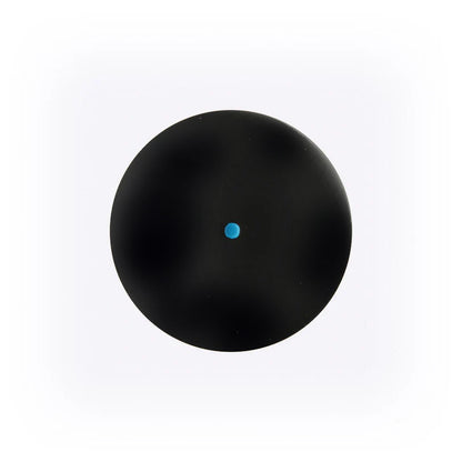 Dunlop Intro Blue Dot Squash Ball - RacquetGuys.ca