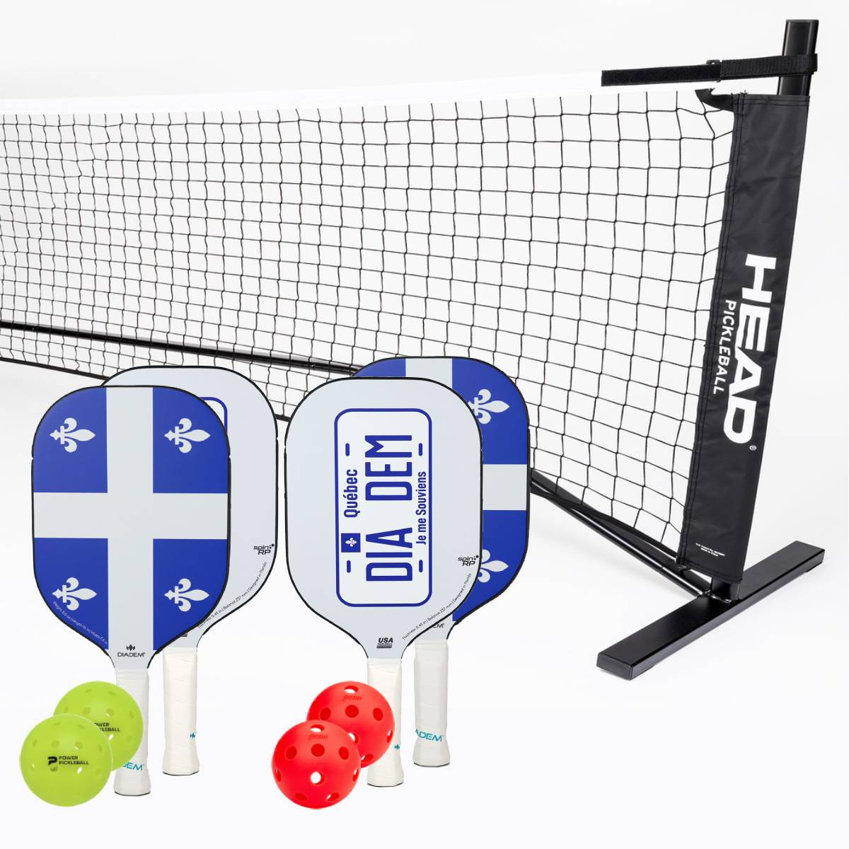 Diadem Icon V1 Quebec 4 Paddle + Net Pickleball Bundle - RacquetGuys.ca