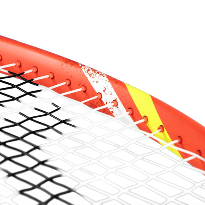 Tecnifibre TFight IG 300 Limited Edition - RacquetGuys.ca