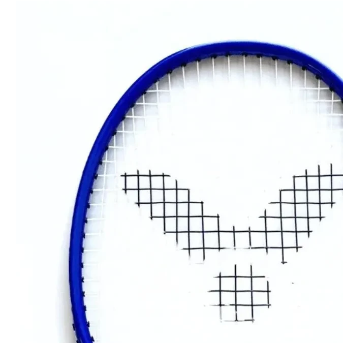 Victor Beast Tamer (Factory Strung) - RacquetGuys.ca