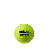 Wilson Triniti Tennis Balls - 24 Sleeve Case - RacquetGuys.ca