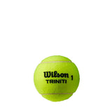 Wilson Triniti Tennis Balls - 18 Sleeve Case - RacquetGuys.ca